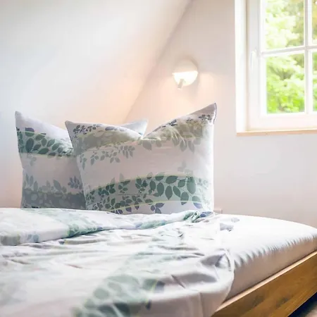 Marie Apartman Altenberg (Erzgebirge)