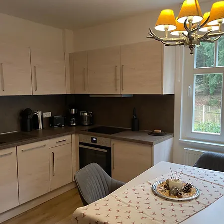 Marie Apartman Altenberg (Erzgebirge)